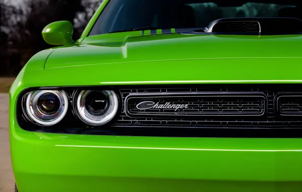 Optics, Dodge, Challenger, Muscle Car, R/T 2015