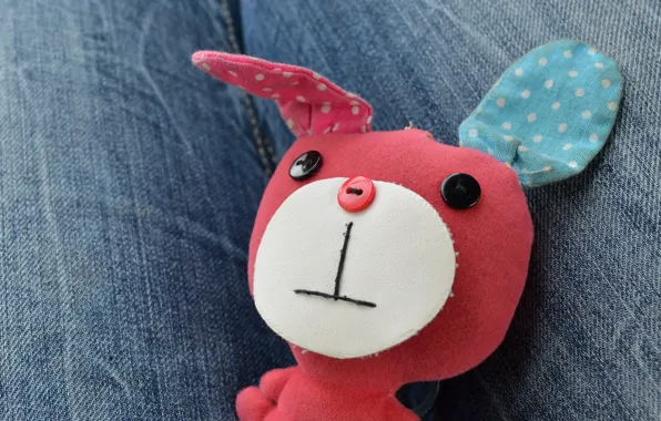 Toy, dog, jeans