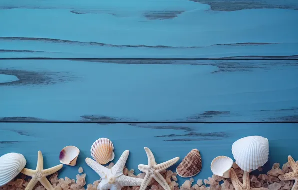 Board, shell, shell, starfish, blue background, composition, AI art, neural network