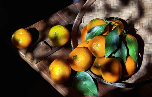 Leaves, drops, light, Board, lighting, shadows, black background, basket