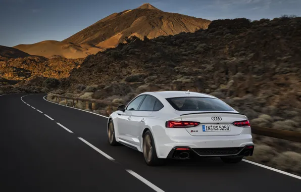 Road, Audi, rear view, RS5, Sportback, RS 5, 2020