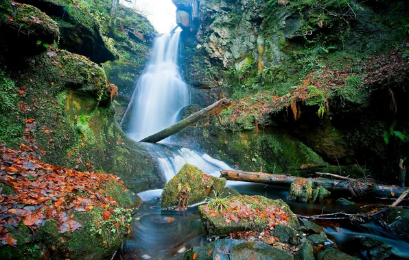 Picture leaves, stones, waterfall, Scotland, logs