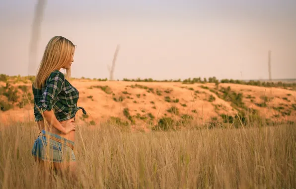 Girl, The evening, Field, Grass, Shorts, Blonde, Summer, Girl