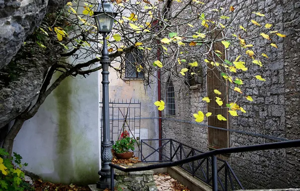 Picture autumn, the city, house, tree, lantern, patio