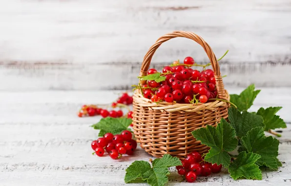 Picture leaves, berries, basket, red currant