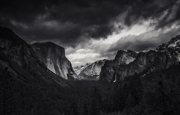 Picture forest, the sky, mountains, clouds, nature, rocks, black and white, USA