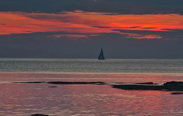 Sea, the evening, yacht, glow, sails, a lonely boat on the horizon, Aivo Oblikas, Red …