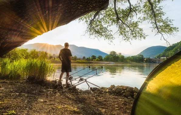 Forest, summer, the sun, trees, landscape, mountains, nature, river