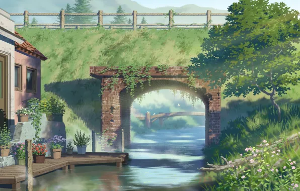 Picture greens, nature, river