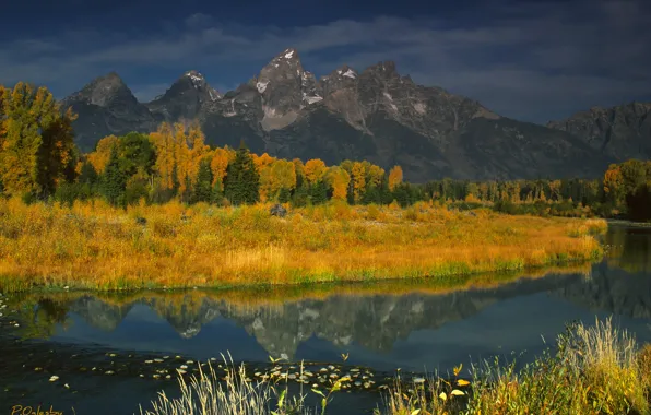 Picture autumn, mountains, river, USA, National Park, Teton