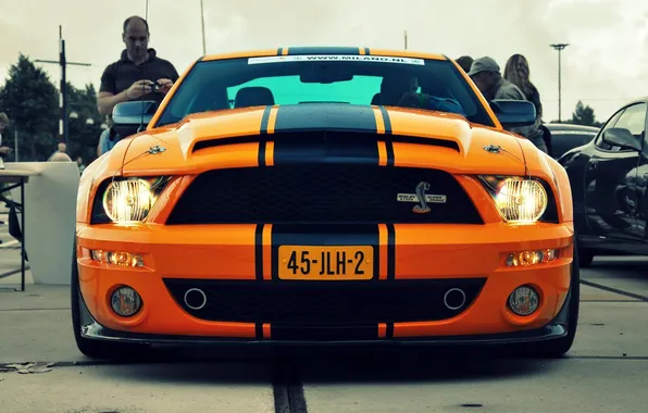 Picture photo, Ford, Shelby, GT500, cars, auto