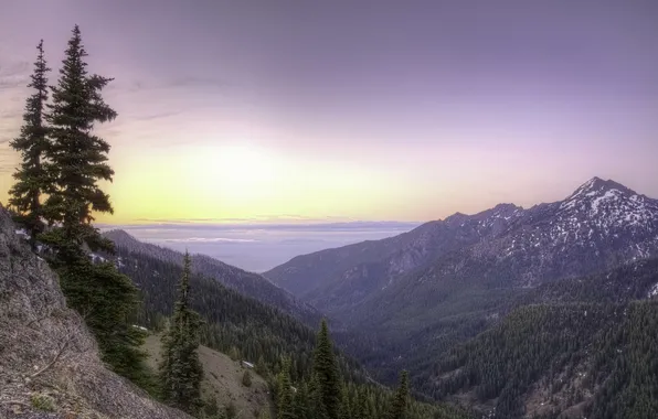 Picture sunrise, dawn, panorama, Washington, Washington, Olympic National Park, Olympic Mountains, Hurricane Ridge