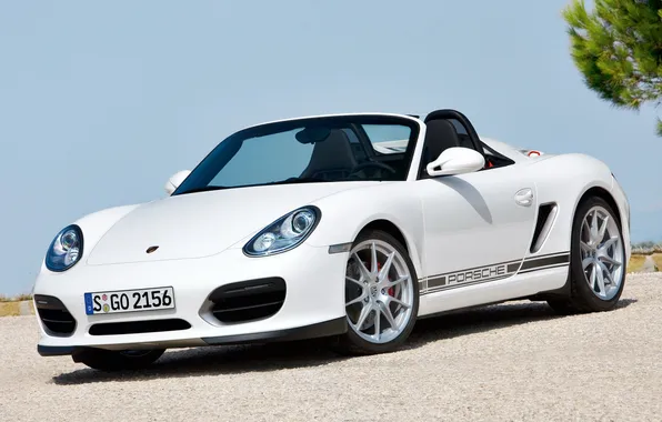 Picture Porsche, white, supercar, convertible, porsche