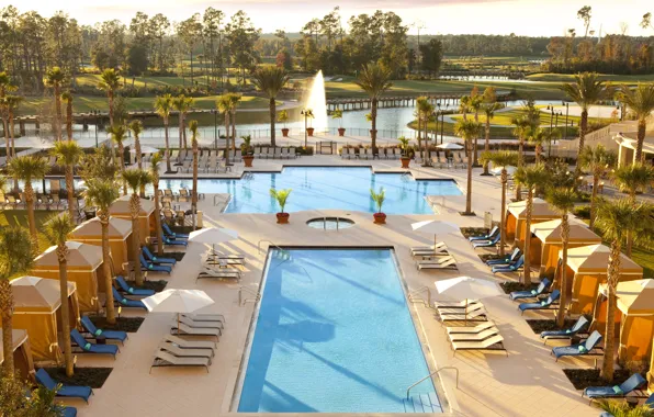 Picture palm trees, pool, water Park