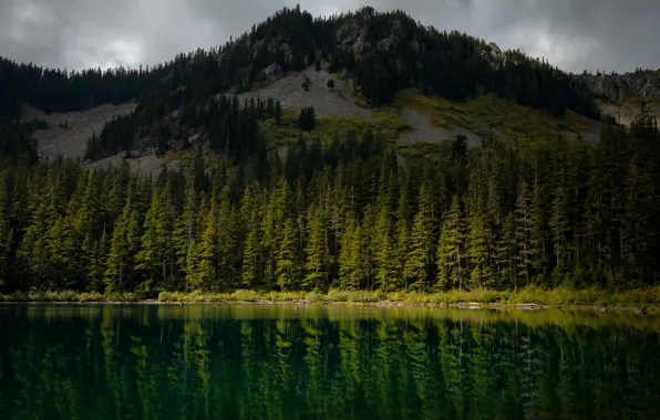 Picture forest, mountains, lake, reflection, tops, ate