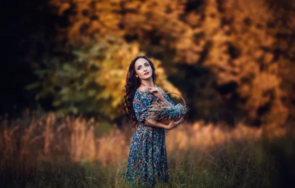 Picture girl, flowers, mood, dress, basket, lavender, bokeh, Hakan Erenler