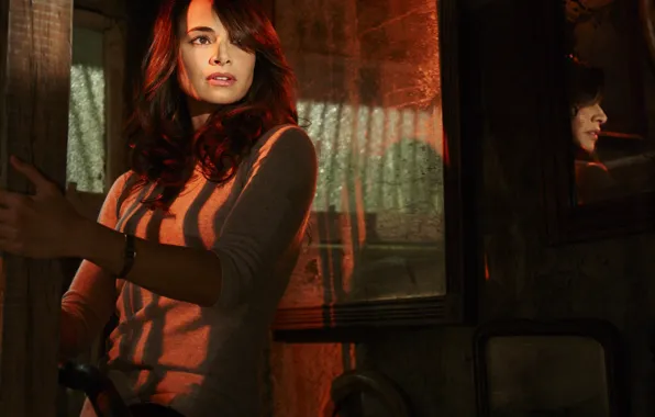 The series, The Strain, MIA Maestro, Strain, Nora Martinez