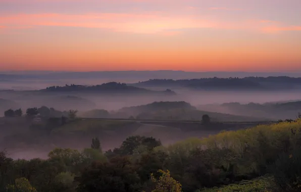 Road, field, the sky, clouds, trees, fog, dawn, hills