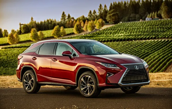 Lexus, Lexus, crossover, F-Sport, 2015