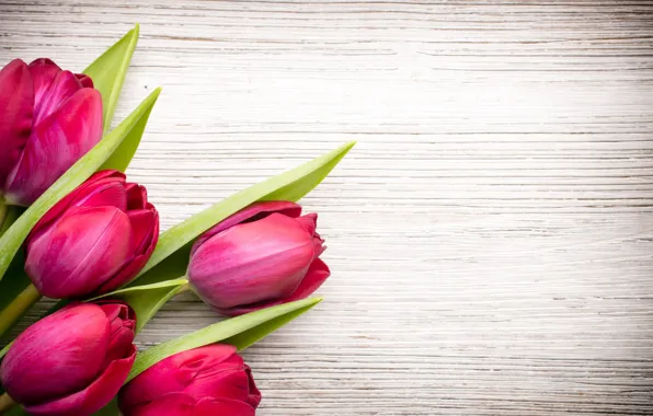 Picture flowers, bouquet, fresh, wood, pink, flowers, beautiful, tulips