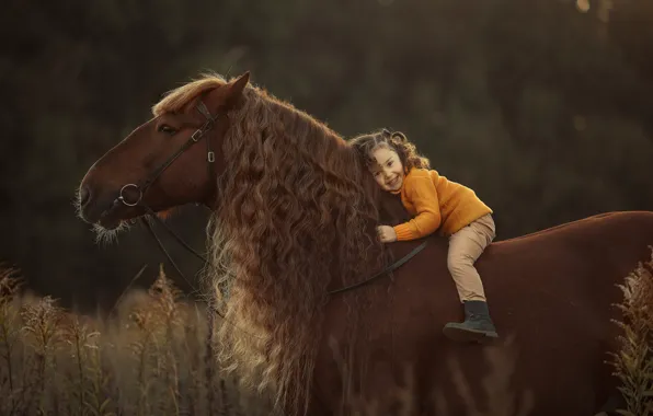 Horse, horse, mane, girl, curls