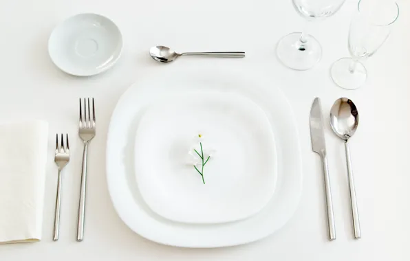 Flower, glasses, plate, knife, saucer, fork, spoon, serving