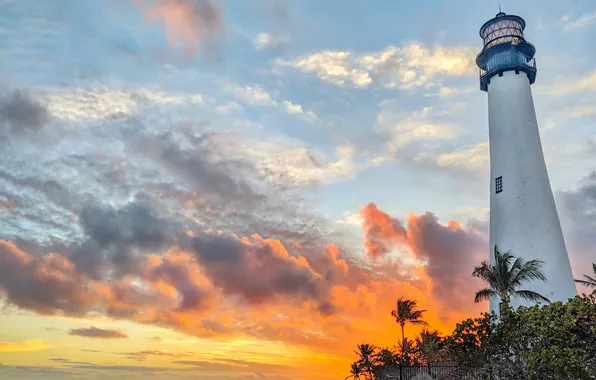 The sky, clouds, sunset, palm trees, lighthouse, Florida, Trey Ratcliff