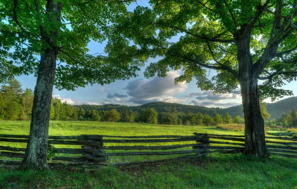 Trees, the fence, meadow, New York, the state of new York, Adirondack, Adirondack