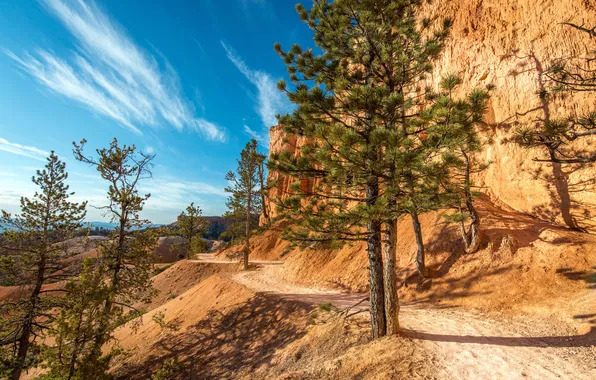 The sky, the sun, trees, rocks, path, Utah, Bryce Canyon National Park