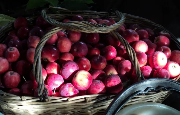 Autumn, basket, apples, harvest