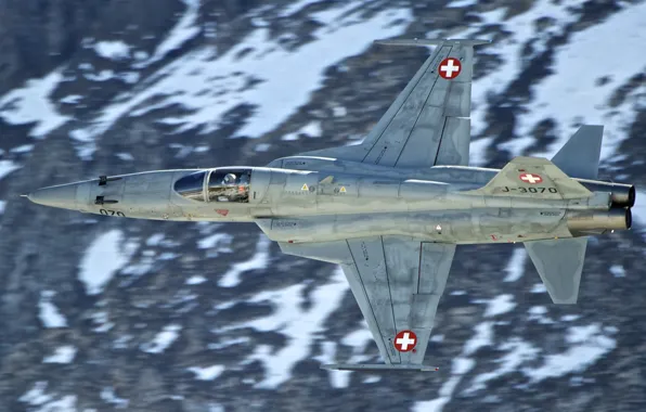 Fighter, flight, multipurpose, Tiger II, F-5E, easy, Tiger II