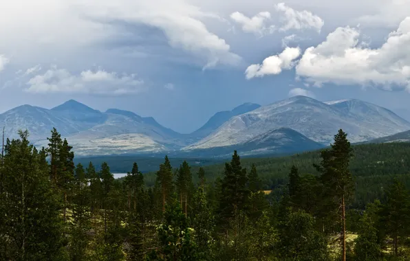 Forest, the sky, clouds, trees, landscape, mountains, nature, blue