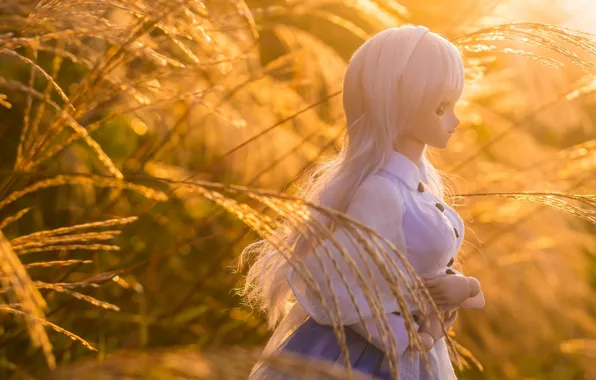 Field, doll, ears