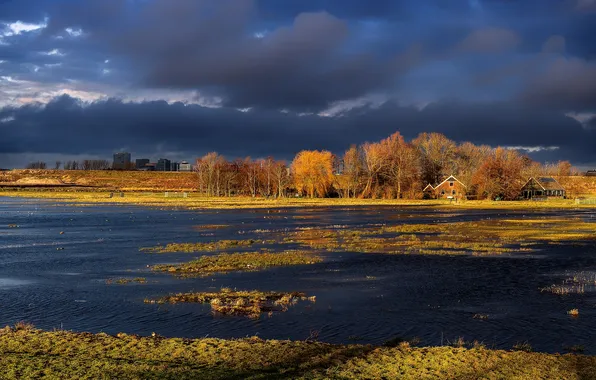 Autumn, light, clouds, shore, house, pond