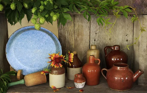 Leaves, dishes, hops, decanters