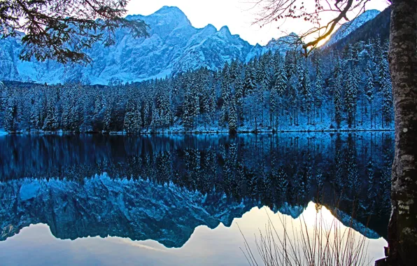 Picture Winter, Italy, Winter, Italy, Alps, Italia, Fusine Lakes, lake Fusine