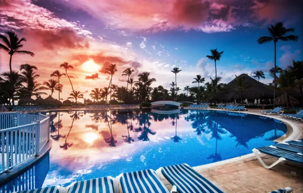 Picture palm trees, the evening, pool, exotic