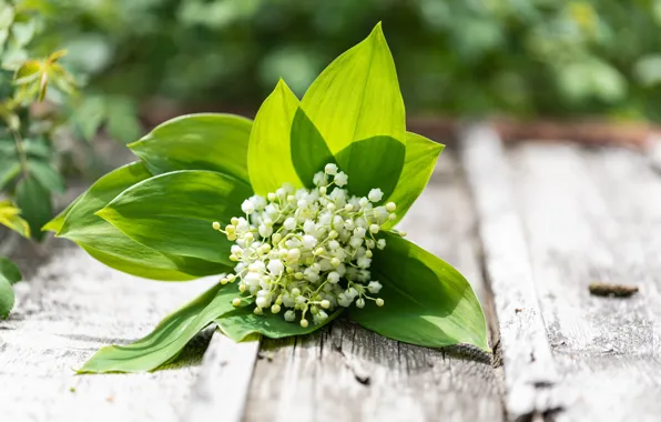 Picture flowers, bouquet, spring, lilies of the valley, Karina Klachuk