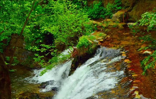 Stream, Waterfall, Nature, River, Waterfall, River, Flow