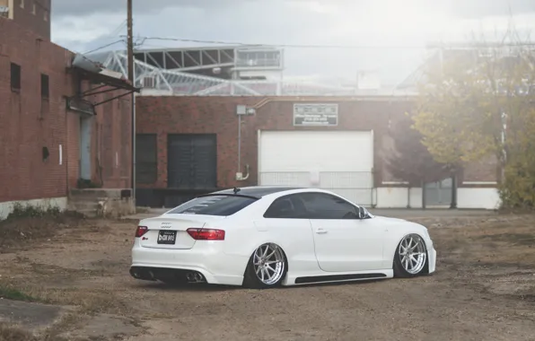 Audi, Audi, white, low, stance