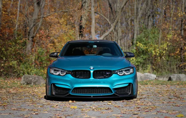 Picture BMW, Autumn, Face, F80, Sight