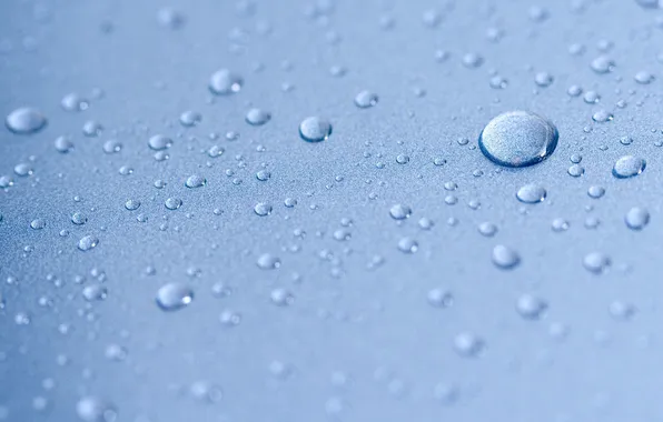 Water, drops, Rosa, background, blue, small