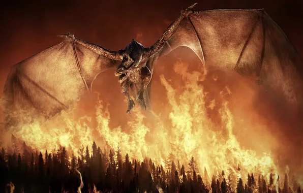 Forest, trees, fire, dragon, render