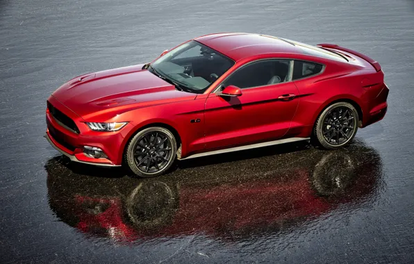 Picture reflection, Mustang, Ford, Black, Accent
