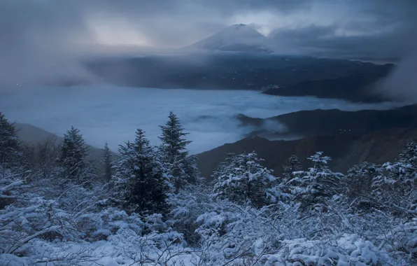 Winter, frost, forest, the sky, clouds, snow, landscape, mountains