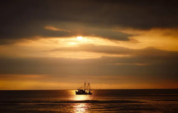 The sky, the sun, clouds, the ocean, the evening, ocean, fishing ship on horizon, Jaxam …