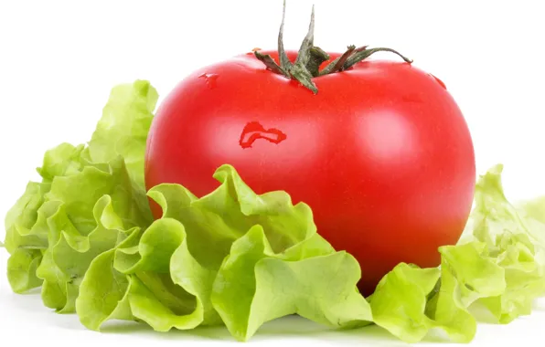 Greens, macro, freshness, tomato, water drops, salad, ripe fruit