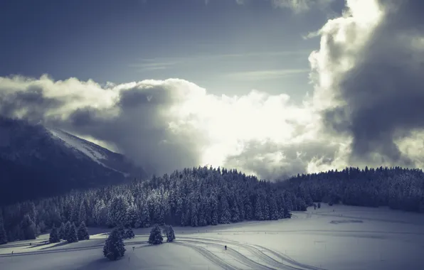 Winter, nature, morning