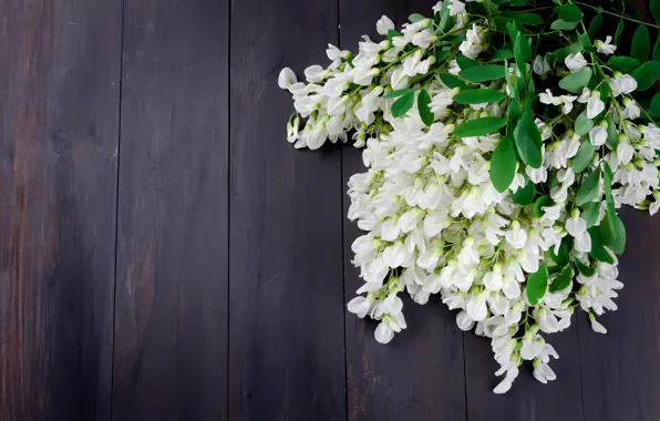 Flowers, bouquet, spring, white, acacia