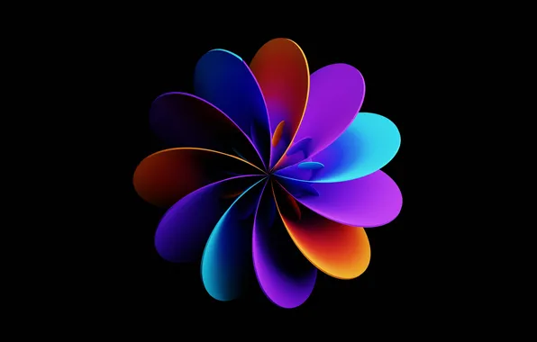 Black background, Petals, Abstraction, Abstract, Flower of Light, Flower Of Light